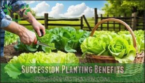 succession planting benefits