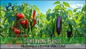 sun loving plants