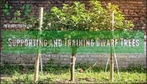 supporting and training dwarf trees