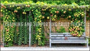 training and supporting fruit plants