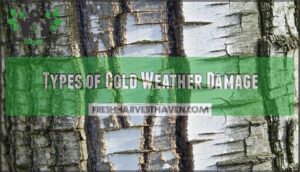 types of cold weather damage