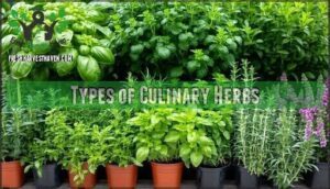 types of culinary herbs