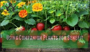 using companion plants for benefit