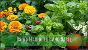 using marigolds and basil