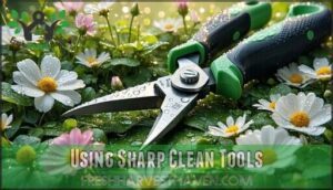 using sharp clean tools