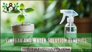 vinegar and water solution benefits