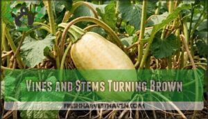 vines and stems turning brown
