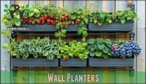 wall planters