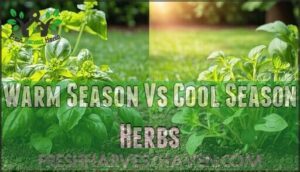 warm season vs cool season herbs