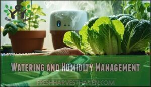watering and humidity management