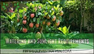 watering and sunlight requirements