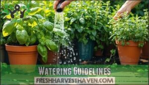 watering guidelines