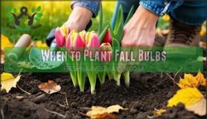 when to plant fall bulbs
