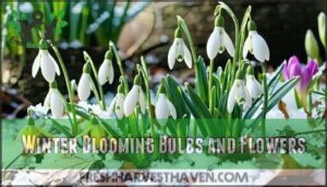 winter blooming bulbs and flowers