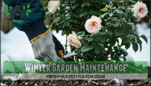 winter garden maintenance