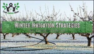 winter irrigation strategies