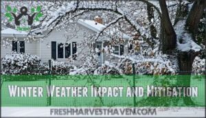 winter weather impact and mitigation