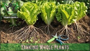yanking whole plants