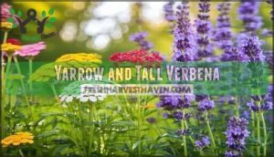 yarrow and tall verbena