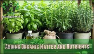 adding organic matter and nutrients