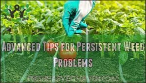 advanced tips for persistent weed problems