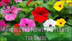 annuals and flowering plants for shade
