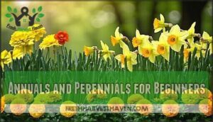 annuals and perennials for beginners