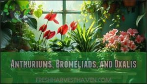anthuriums, bromeliads, and oxalis