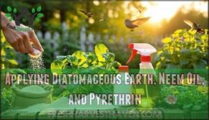 applying diatomaceous earth, neem oil, and pyrethrin