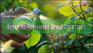 applying homemade aphid solutions