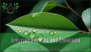 applying neem oil and cinnamon