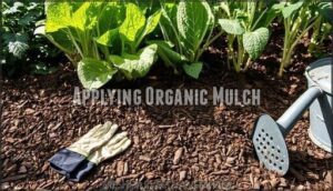 applying organic mulch