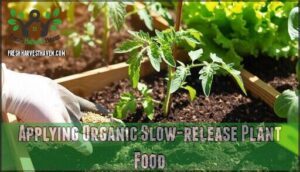applying organic slow-release plant food