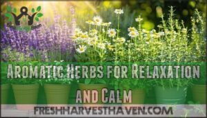 aromatic herbs for relaxation and calm