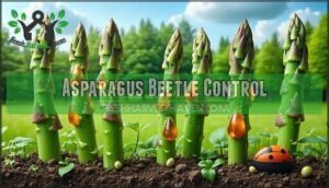 asparagus beetle control