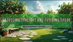 assessing sunlight and avoiding shade