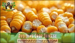 avoiding crop damage