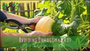 avoiding damage and rot