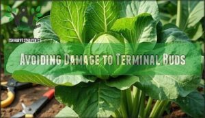 avoiding damage to terminal buds