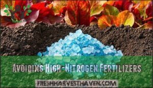 avoiding high-nitrogen fertilizers