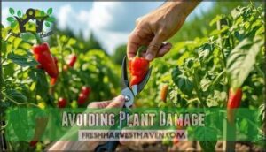 avoiding plant damage
