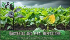 bacterial and viral infections