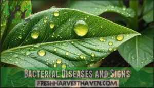 bacterial diseases and signs