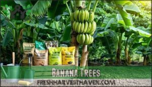 banana trees