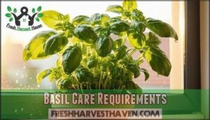 basil care requirements