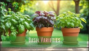 basil varieties