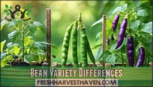 bean variety differences