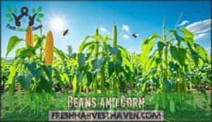beans and corn