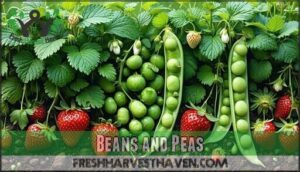 beans and peas