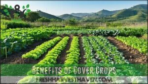benefits of cover crops